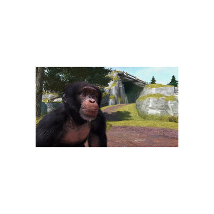 Jeu Xbox MICROSOFT Zoo Tycoon