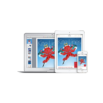 Tablette Apple IPAD Air 16Go Argent Reconditionné