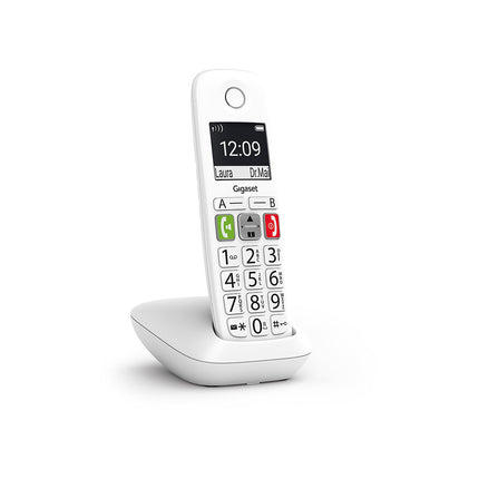 Téléphone sans fil GIGASET E290 Blanc