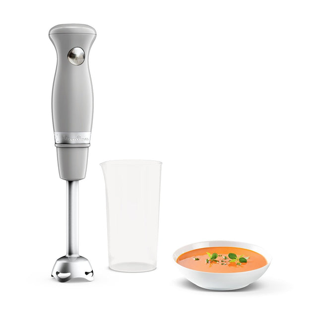 Mixeur MOULINEX soleil pepper DD471E10