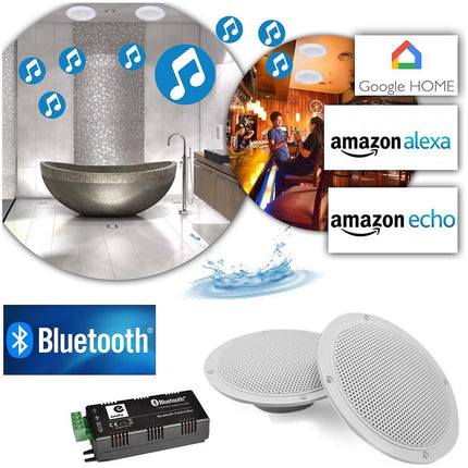 Enceinte encastrable LEISURE Kit 2 haut-parleurs coniques 5" / 80W -