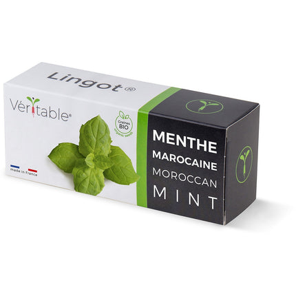 Recharge jardin d'intérieur VERITABLE menthe marocaine bio
