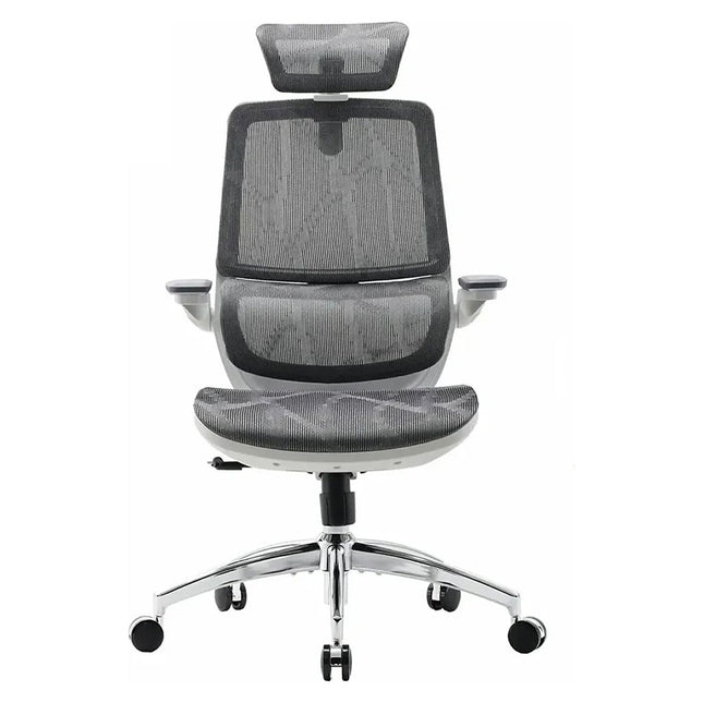 Fauteuil ergonomique SIHOO M59AS chaise ergonomique gris