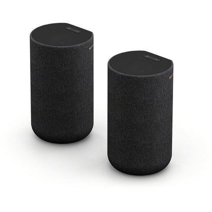 Kit enceinte surround SONY Enceintes arrières SARS5 x2