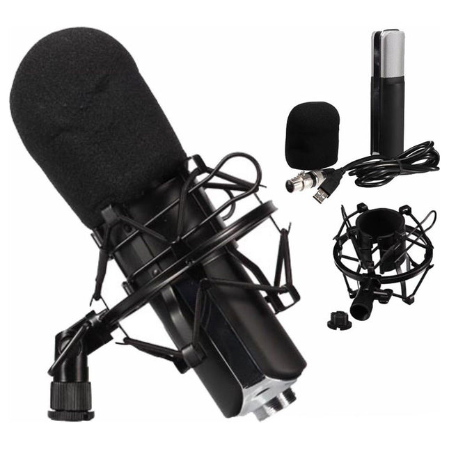 Micro HQ POWER Kit avec microphone à condensateur pour