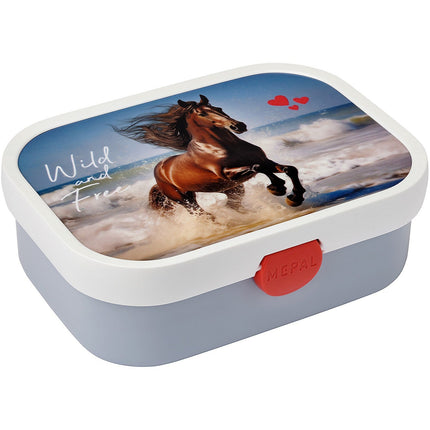 Bento MEPAL à dejeuner campus wild horse