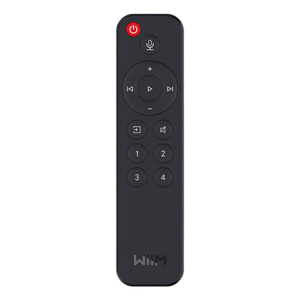Télécommande universelle WIIM remote