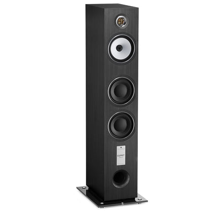 Enceinte colonne TRIANGLE Antal esprit EZ bois noir