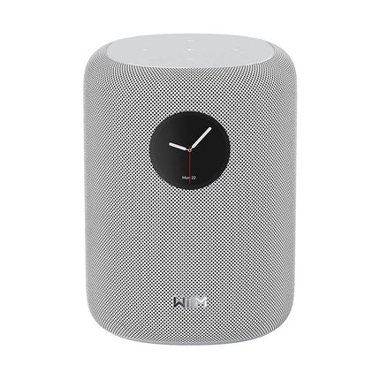 Enceinte Multiroom WIIM Sound Black with display