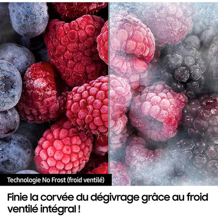 Réfrigérateur 2 portes SAMSUNG RT31CG5624S9