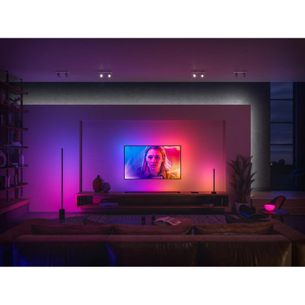 Lampe connectée PHILIPS HUE Gradient Signe noir White&Color Ambiance