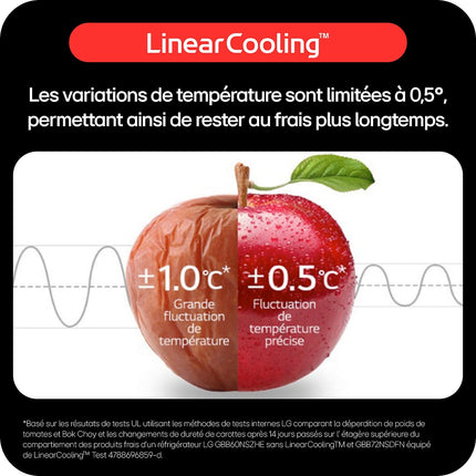 Réfrigérateur Américain LG GSLC40PYFE