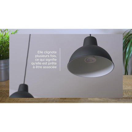 Ampoule ESSENTIELB Nuances de Blanc Flamme E14