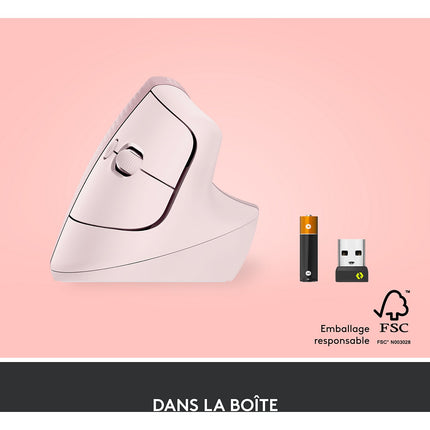 Souris sans fil LOGITECH Lift Ergonomique Silencieuse Graphite