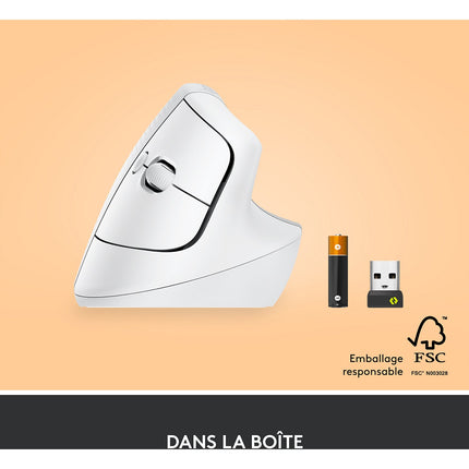 Souris sans fil LOGITECH Lift Ergonomique Silencieuse Graphite