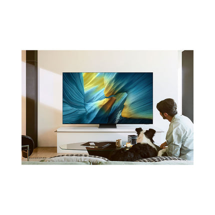 TV OLED SAMSUNG TQ55S95F (2025) 55" (138 cm) 4K - Anti-reflet