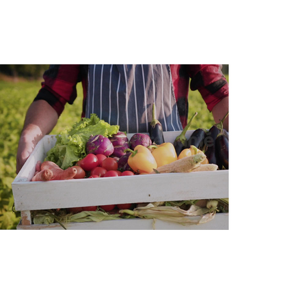 Centrifugeuse MOULINEX FRUTELIA PLUS NOIR 350 W