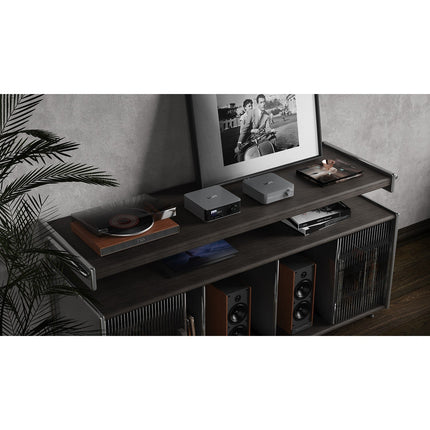 Lecteur réseau HiFi WIIM Ultra Silver