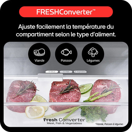 Réfrigérateur combiné LG GBV3200DSW