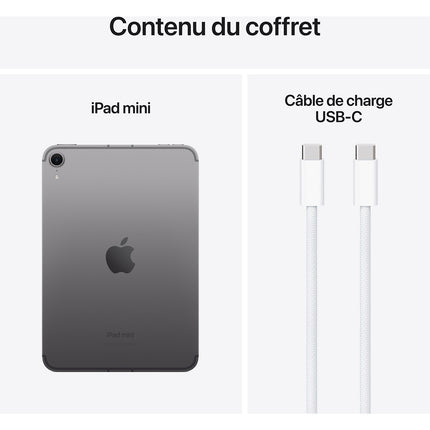 Tablette Apple IPAD Mini