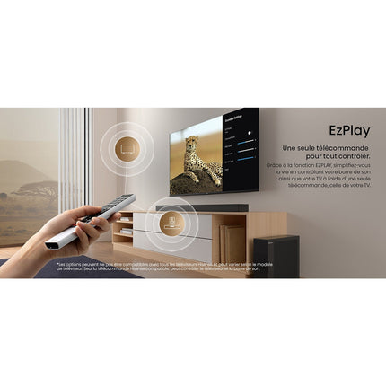 Barre de son HISENSE HS2100