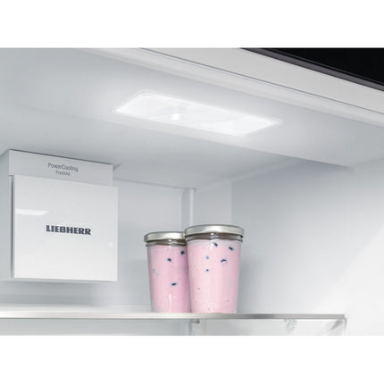 Réfrigérateur 1 porte LIEBHERR RBsfc 5220-22