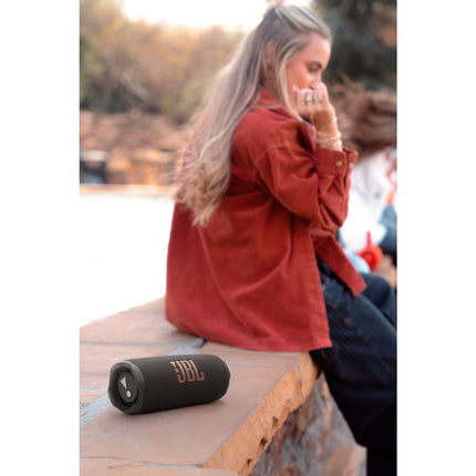 Enceinte portable JBL Flip 7