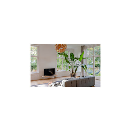 Barre de son HARMAN KARDON Enchant 1100