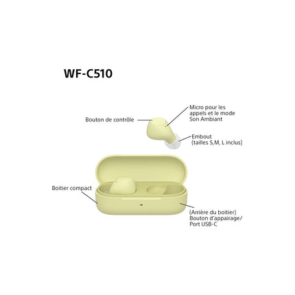 Ecouteurs SONY WF-C510
