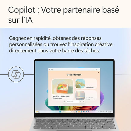 Ordinateur portable MICROSOFT Surface Laptop13' XPlus/16/512 Platine Copilot+PC
