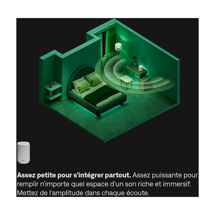 Enceinte résidentielle BOSE Lifestyle Ultra Speaker