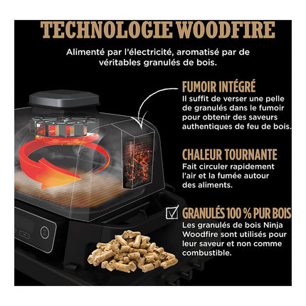 Barbecue électrique NINJA Woodfire OG701EU à poser, 33x28 cm