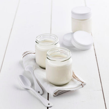 Yaourtière et fromagère LAGRANGE ligne + goupillon et entonnoir 459605