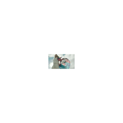 Lave linge top ELECTROLUX EW7T3733BO/ Reconditionné
