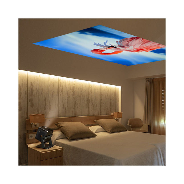 Support vidéoprojecteur DANGBEI Mars Pro 2 uniquement