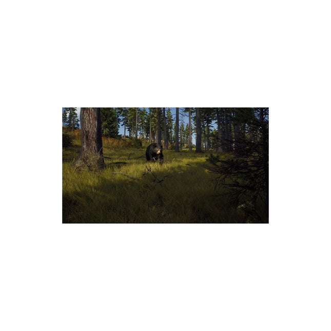 Jeu Xbox X THQ Way Of The Hunter Wild Expeditions