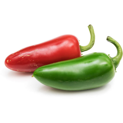Recharge jardin d'intérieur VERITABLE piment Jalapeno