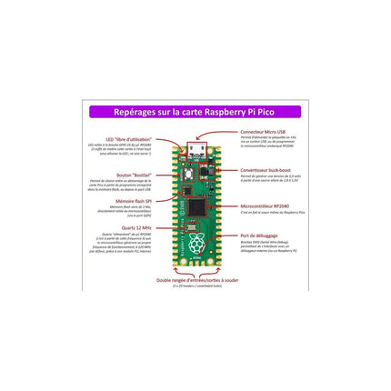 Carte d'acquisition RASPBERRY PI Raspberry Pi Pico