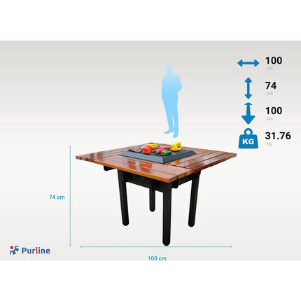 Barbecue charbon PURLINE EFP54 BBQ
