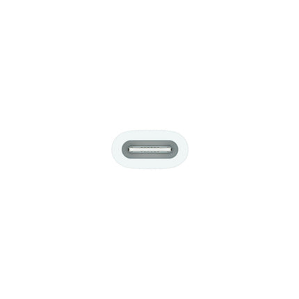 Adaptateur APPLE USB-C pour Pencil