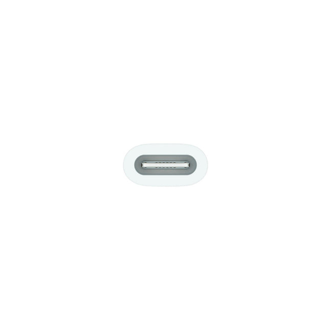 Adaptateur APPLE USB-C pour Pencil