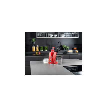 Mixeur BAMIX M200 SwissLine /croix Suisse