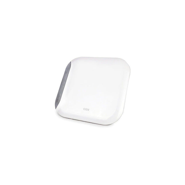 Antenne intérieure CGV AN-LOOK 2M CE RED 700