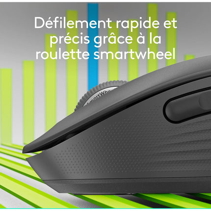 Souris sans fil LOGITECH SIGNATURE PLUS M750 L