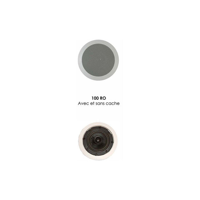 Enceinte encastrable DAVIS 100 RO