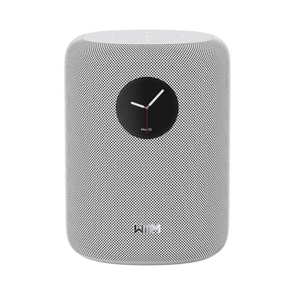 Enceinte Multiroom WIIM Sound Black with display