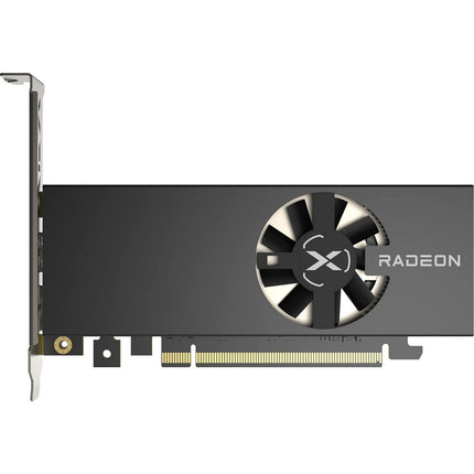 Carte graphique XFX RX-64XL4SFG2-NRI