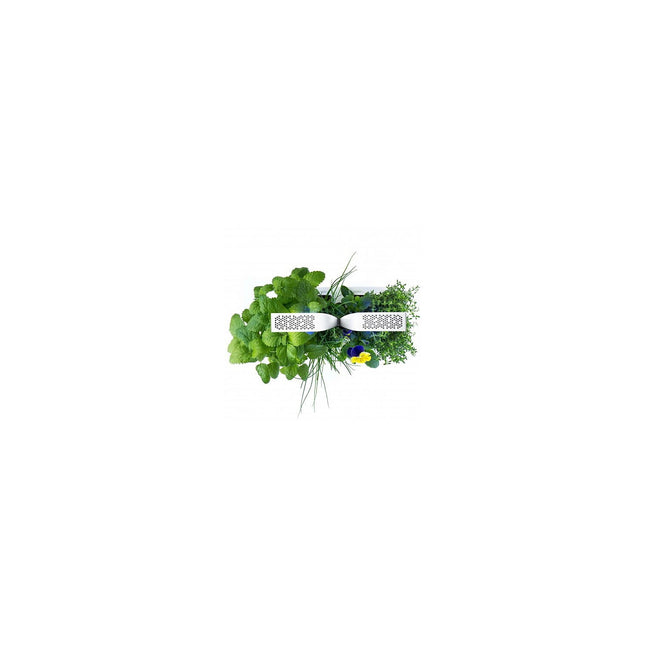 Jardin d'intérieur VERITABLE Smart Arctic White
