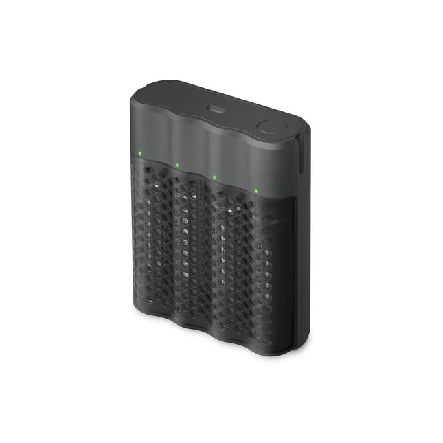 Chargeur secteur GP Recyko pro P461 1h + 4 accu AA 2000mAh