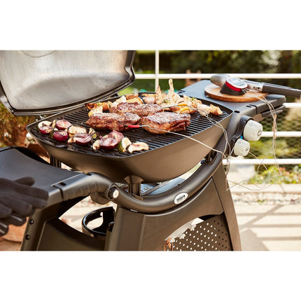 Barbecue gaz WEBER Q 3200 Noir